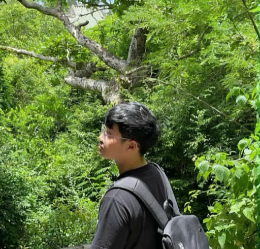 Minh Tri